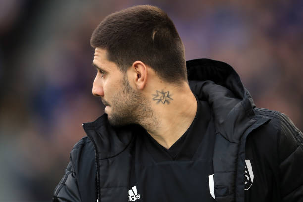 Aleksandar Mitrović